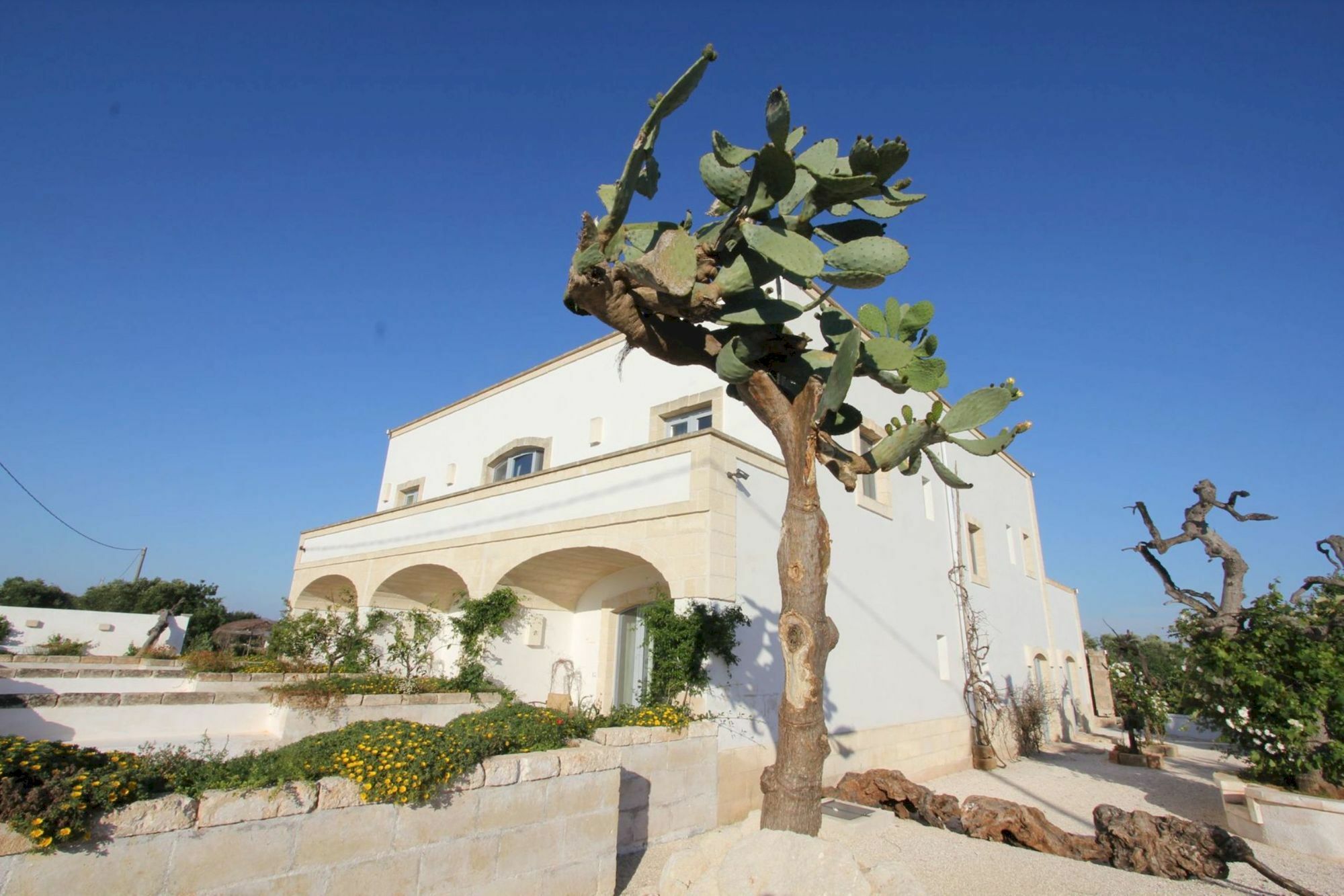 Masseria Lama Di Coccaro Savelletri Екстериор снимка